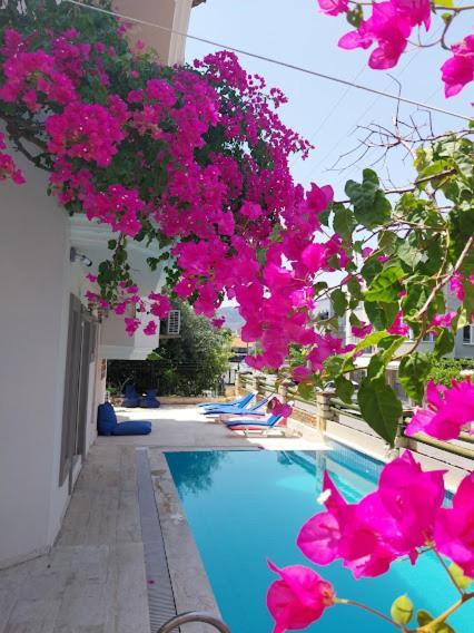 Selenya Apart Marmaris Esterno foto